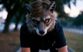 Desde su origen a su auge: Fenómeno Therian, de un foro de hombres lobo a una tendencia viral que expuso la crisis identitaria en la era digital