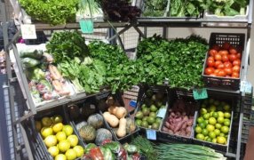 Misiones: Ya se encuentra habilitada la inscripción para ferreterías y agroveterinarias al nuevo Programa Provincial Ahora Chacra, que comenzará a operar a partir del 1° de Junio