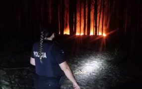 La Policía de Misiones, junto a Bomberos Voluntarios, controlaron un incendio que afectó un pinar y yerbal en el Municipio de Corpus Christi