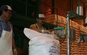 Yerba Mate: Las exportaciones siguen marcando un récord histórico y el mercado interno continúa en franca recuperación