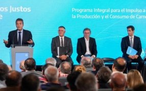 Carne: Congelan el precio de 7 cortes populares y habrá descuentos en carnicerías