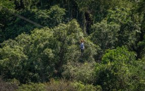 Misiones, un destino de preferencia: En un mundo en constante cambio, donde tanto los consumos culturales y turísticos como las dinámicas económicas y sociales impactan en cada rincón del planeta