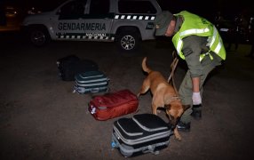 Personal de Gendarmería Nacional lograron la incautación de estupefacientes que pretendía ser trasladado en dos valijas de equipaje en un transporte de pasajeros