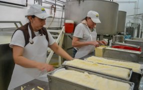 Quesos misioneros: Uno de los principales aspectos que distingue a la lechería de la provincia es que el valor agregado se realiza en origen