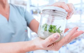 La provincia de Misiones será sede del mayor encuentro de Biotecnología del país