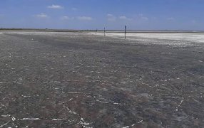 Sequía en el sur de Córdoba: Una laguna se quedó sin agua y perdió su flora y su fauna