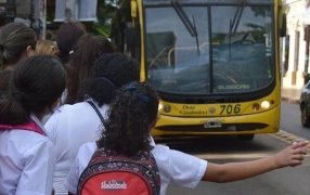 El Boleto Estatal Estudiantil Gratuito Misionero se renovará de manera automática para el ciclo lectivo 2023