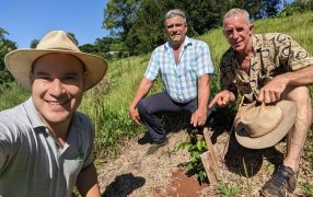 Misiones: Yerbales sustentables y agua, temas de la visita del INYM a productores del Municipio de 25 de Mayo
