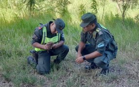 Misiones: Gendarmes resguardaron y trasladaron un ave hasta el refugio de animales silvestres “Guira Oga” de Puerto Iguazú