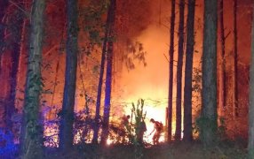 Misiones: Bomberos de la Policía, voluntarios y brigadistas operan en conjunto contra los focos ígneos en la provincia