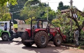 Apóstoles: Podas autorizadas para el Mes de Mayo en el Sector II