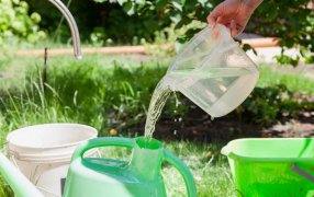 La importancia de cuidar el agua en verano