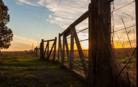Provincia de Buenos Aires: Frenan nuevos aumentos para el inmobiliario rural y lanzan paquetes de medidas para el campo