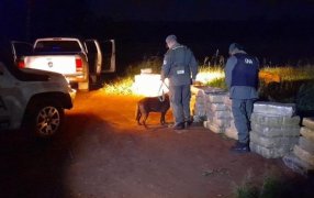 Misiones: Gendarmería Nacional logró incautar mil trescientos diecisiete kilos de marihuana