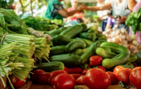 Del productor al consumidor, los precios de los agroalimentos se multiplicaron por 3,9 veces en Diciembre: Es decir, el consumidor pagó 3,9 pesos por cada 1 peso que recibió el productor