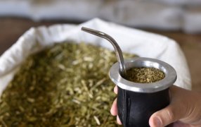 Yerba mate: En 2022 el consumo interno y las exportaciones superaron los 316 millones de kilos