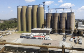 Se cierra el concurso: Molinos Cañuelas presentó el plan de pagos de su deuda por 1.290 millones de dólares