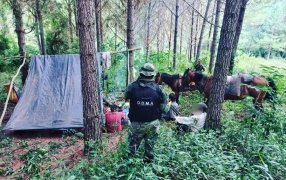 Misiones: Detuvieron a tres cazadores furtivos armados con escopetas y desmantelaron su campamento