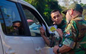 “Yo freno por la fauna”: En la provincia de Misiones instan a la población a conducir con prudencia para evitar atropellamientos de animales