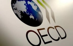 En 2023 y 2024: La Organización para la Cooperación y el Desarrollo Económico empeoró el pronóstico de la Argentina, será el único país del G20 en recesión