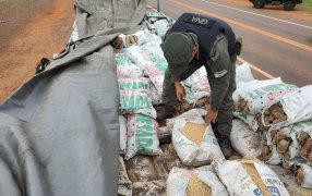 Gendarmería Nacional realizó una importante incautación de cargamento de granos de soja, que era transportaba de manera oculta y embolsados