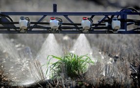 Hay preocupación en los distribuidores de agroinsumos por el alza de precios