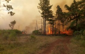 Misiones: La provincia enfrenta un riesgo de incendios extremo, fuego controlado cerca del Parque Provincial de la Sierra