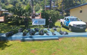 Misiones: Prefectura Naval secuestró más de cuarenta kilos de plantas de marihuana