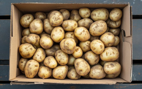 Ni heladera ni bolsas de plástico: Dónde conviene guardar las papas para que no se echen a perder