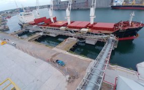 Trigo: Las exportaciones comenzaron con el peor registro desde 2015