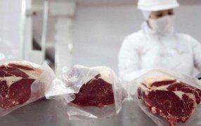 El Gobierno cerró las exportaciones de carne, tras una nueva disparada de los precios de la hacienda, la medida se extenderá por 15 días y su continuidad dependerá de un acuerdo de precios con los frigoríficos exportadores