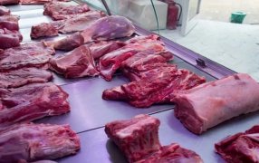 Anuncios en la semana: Carne, advierten que habrá nuevos aumentos en los próximos días, "hubo un retraso del 60, 70%", durante el año anterior
