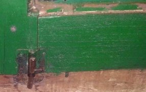 Misiones: Habría sustraído dos escopetas y entregó tras ser descubierta por efectivos policiales de Concepción de la Sierra