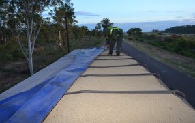 Corrientes: Gendarmería Nacional logró incautación de dos transportes de cargas que pretendían trasladar soja a granel, hacia Misiones, sin la documentación respaldatoria