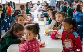 En América Latina y el Caribe, un 22,5% de la población no puede acceder a una dieta saludable