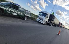 Revelaba inconsistencias en la carta de porte: Secuestro de oleaginosas y rodados por parte de Gendarmería Nacional