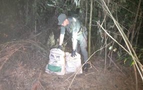 Gendarmes lograron el secuestro de estupefaciente, estaban en dos bolsas tipo arpillera cubiertos con pastizal