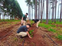 La provincia de Misiones 