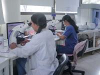 Con 150 mil pacientes y c