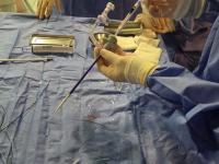 Hito en salud pública: El