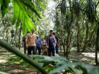 Misiones: El Gobernador H