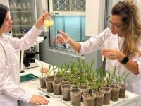 La revolución invisible: 