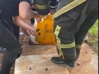 Bomberos en la ciudad de 