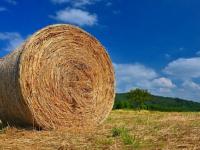 Nace la Mesa Nacional de 