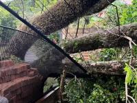 Tormenta en Misiones: Caí