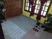 Transportaba distintas di