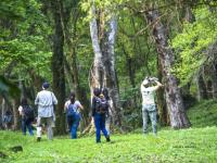 Entre senderos y aves: La