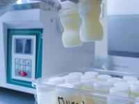 Misiones: Convocatoria so