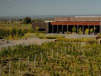 Las polémicas de ‘Chiqui’