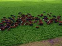 El “delirio” de la tasa a